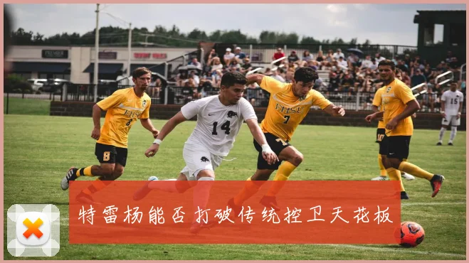 特雷杨能否打破传统控卫天花板