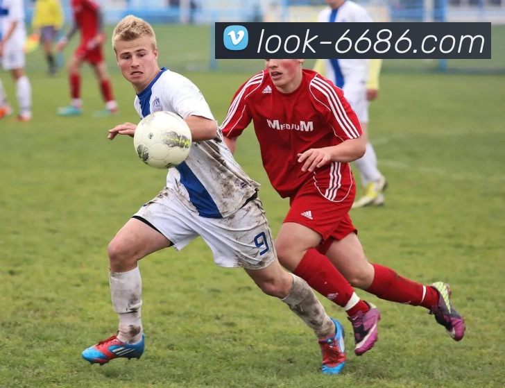 多媒体互动体验