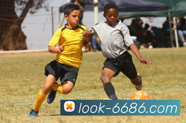 6686APP 高清赛事图